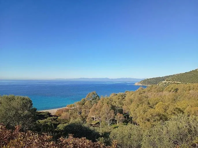 Bed & Breakfast Bisu La Casa dei Sogni Bed and Breakfast Capitana Italia