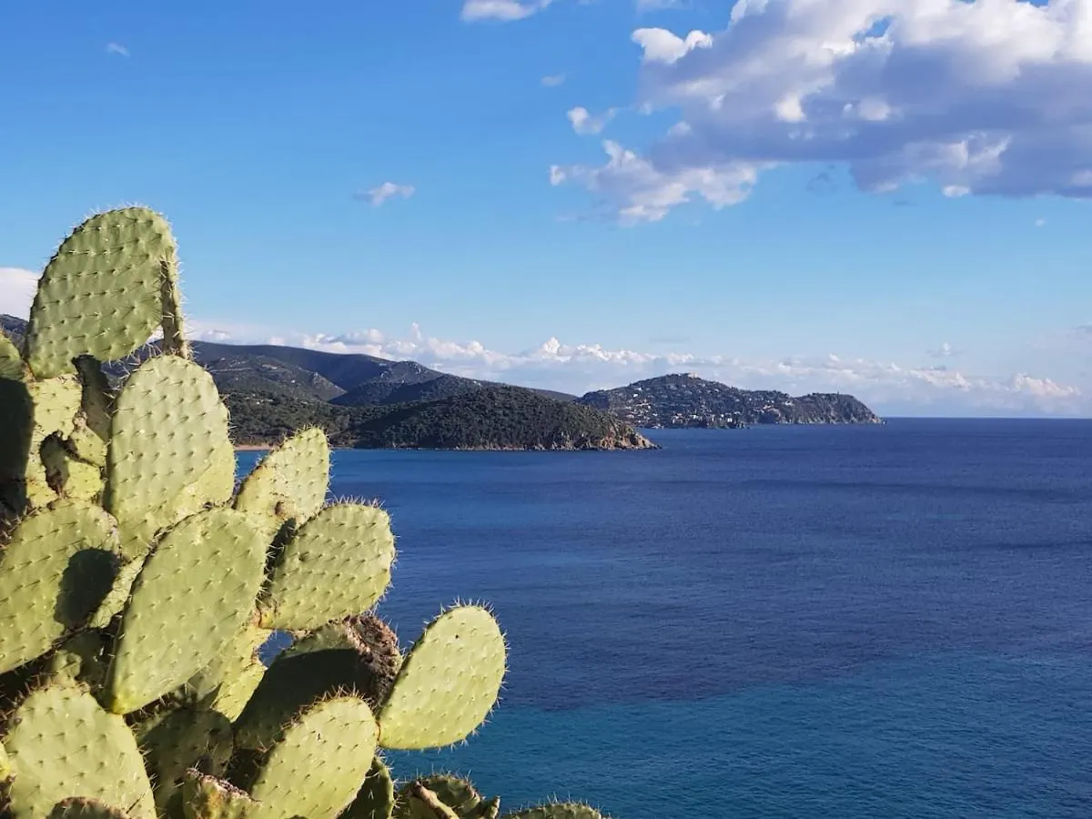 مبيت وإفطار كابيتانا Bisu La Casa Dei Sogni